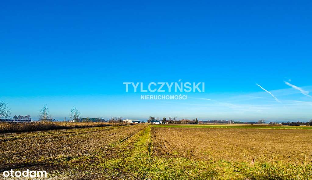 Działka 3000m2 Wólka Grodziska - Pełny obrazek: 4/6