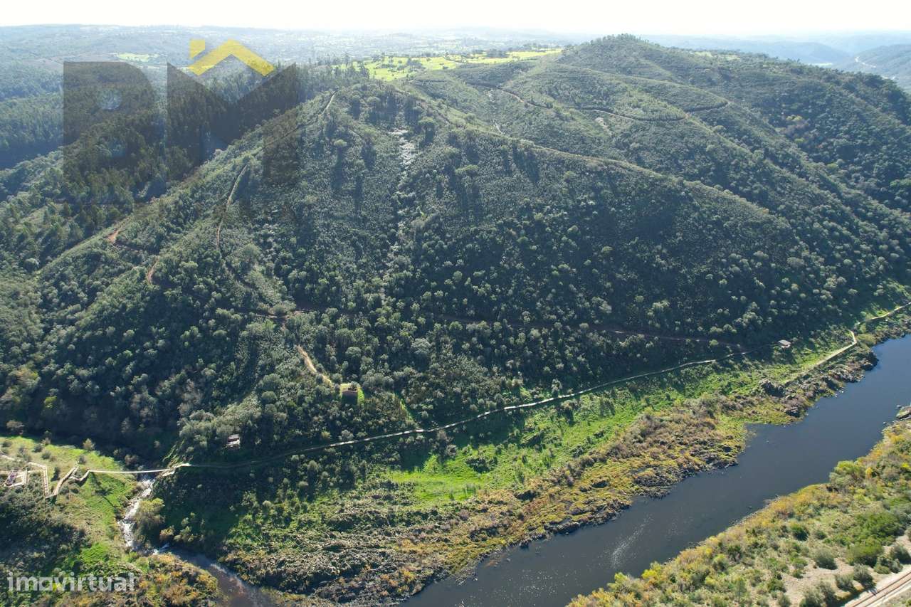 Terreno Rústico  Venda em Arez e Amieira do Tejo,Nisa - Grande imagem: 5/15