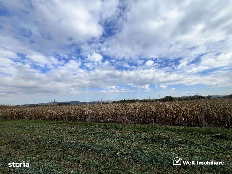 Teren 26.000mp, halta Rascruci drum european E576, jud. Cluj - Imagine principală: 4/4