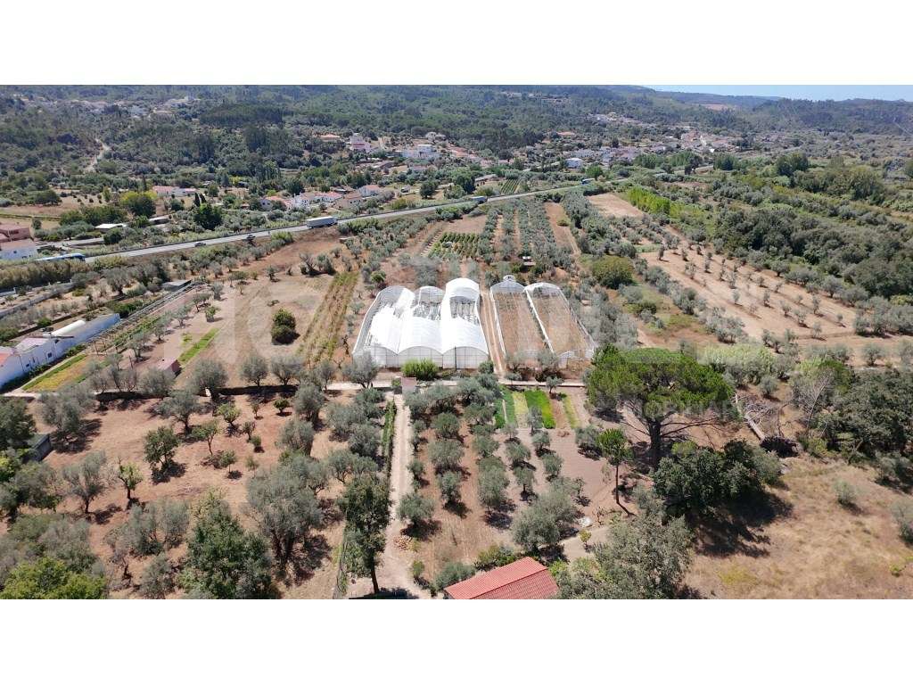 Terreno Agrícola com Estufas Preparadas para Produção em Hidroponia...-19