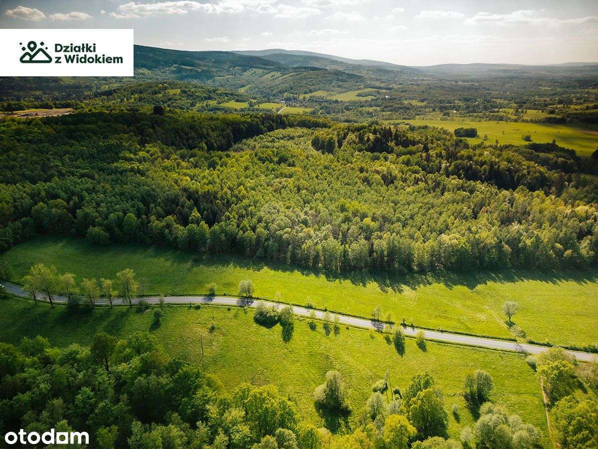 Rębiszów - działka budowlana z widokiem na Pogórze Izerskie - Pełny obrazek: 4/7