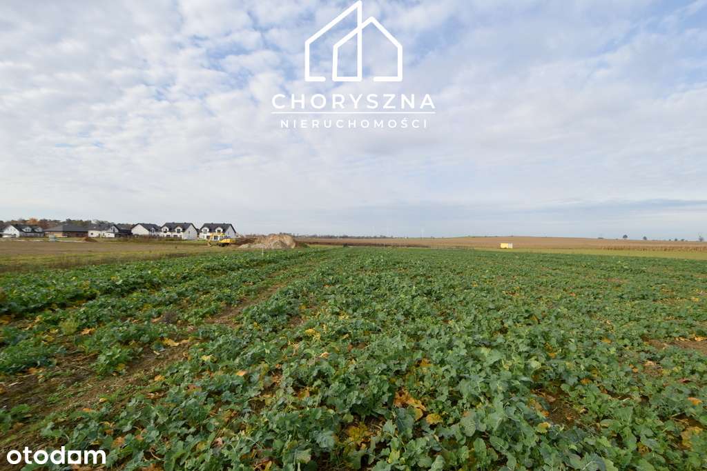 Namysłów - Stare Miasto - działka budowlana-3