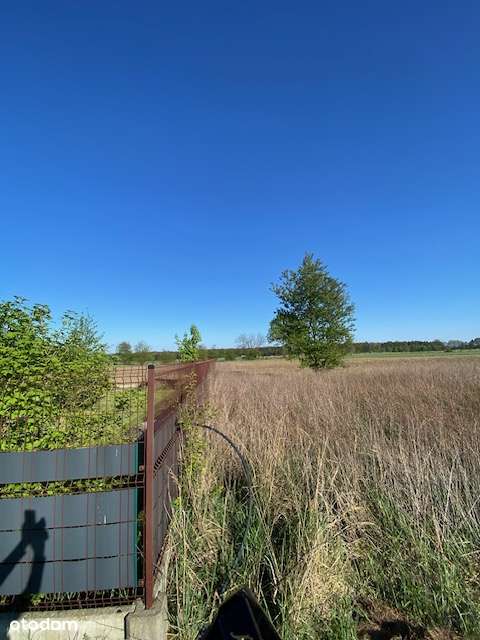 Działka rolna 42x17 m w cichej okolicy-9