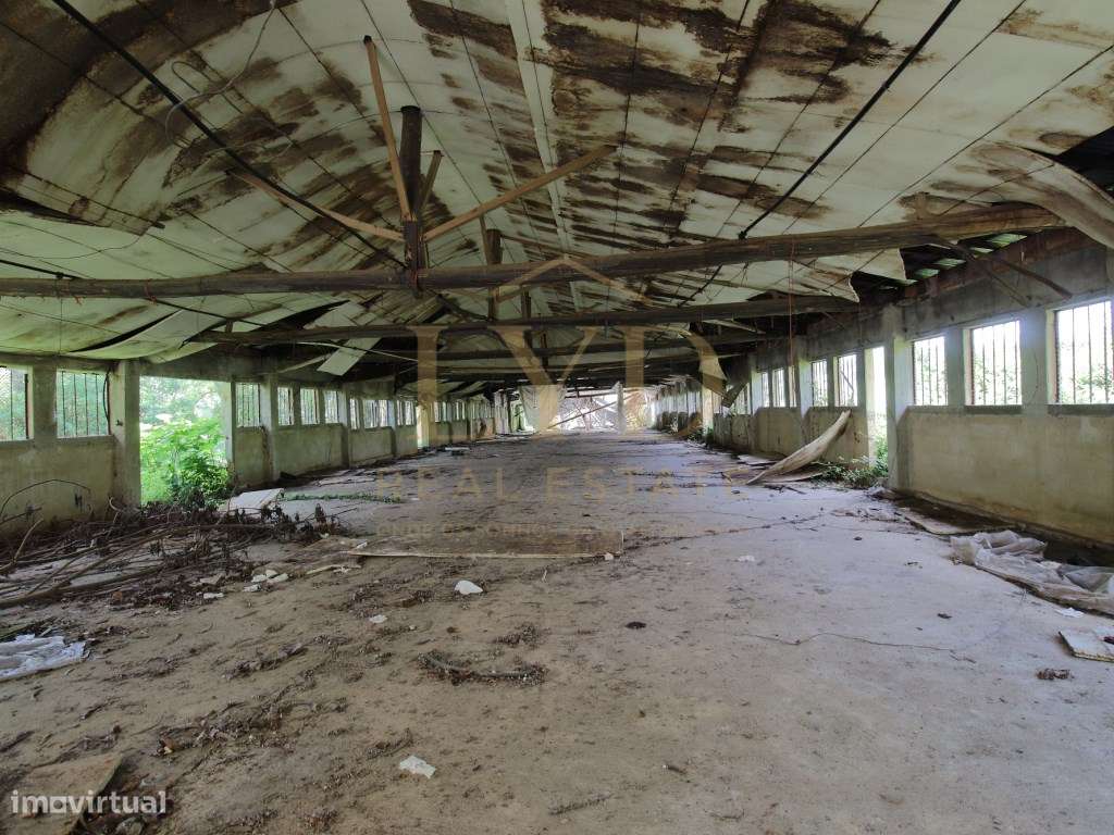 Armazém para venda em Amoreira da Gândara, Anadia | Antigos aviário...-11