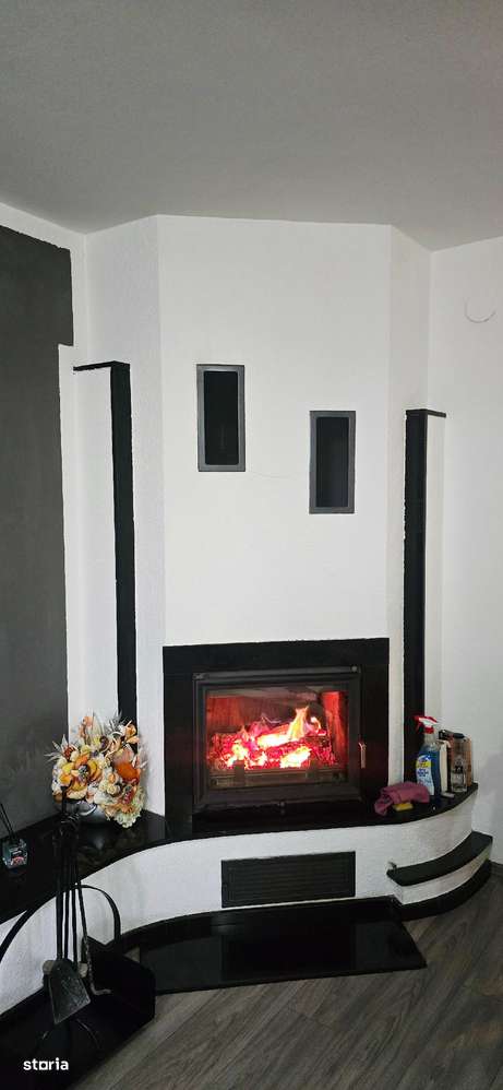 Lux ,Spatiu ,Liniste ,totul intr -un singur loc- Avrig-6