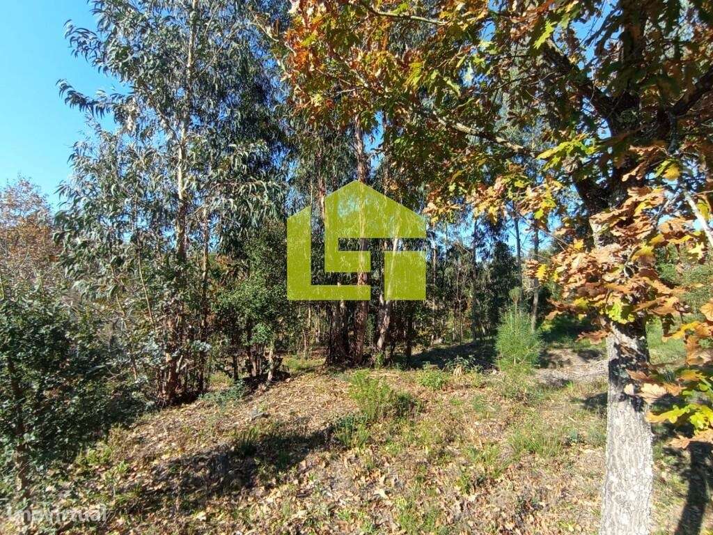 DOIS LOTES DE TERRENO PARA CONSTRUÇÃO - Grande imagem: 5/18