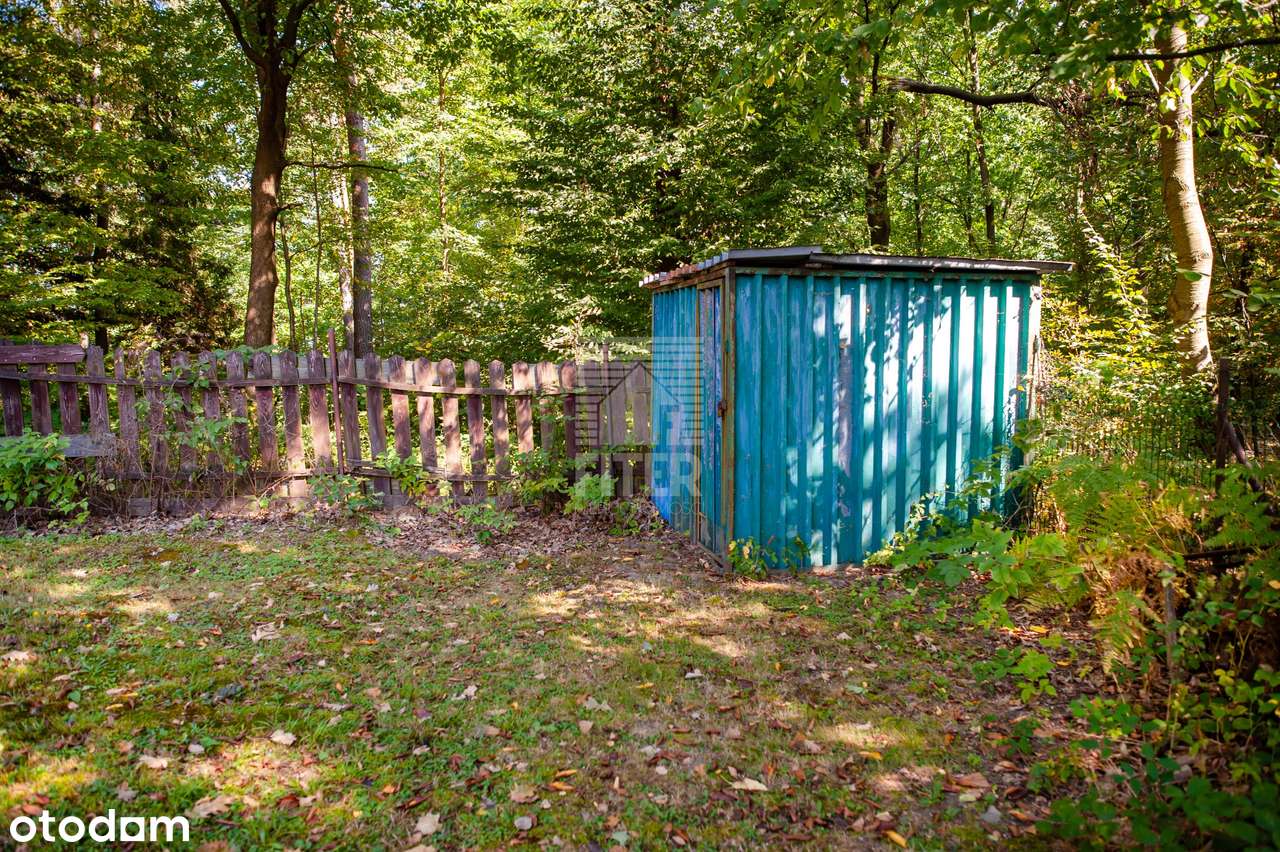 100 m2 dom w lesie...-13