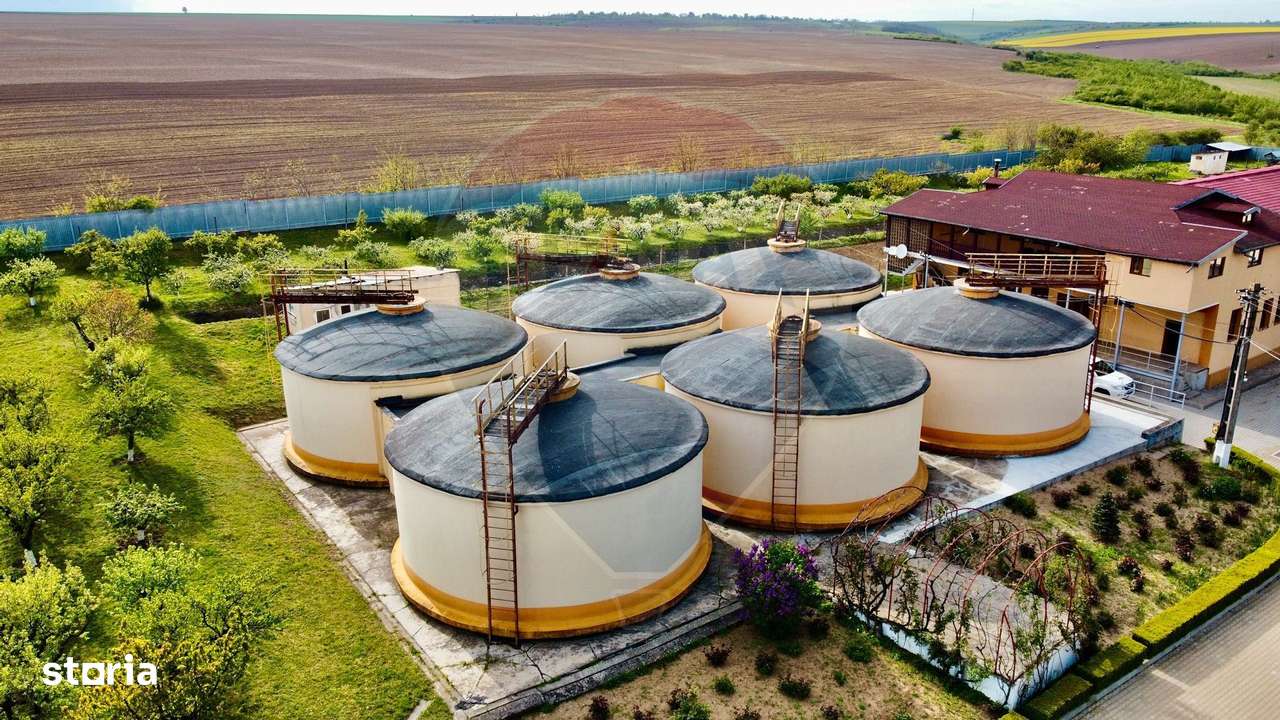 Crama din Buciumeni Afacere la cheie - Imagine principală: 5/12