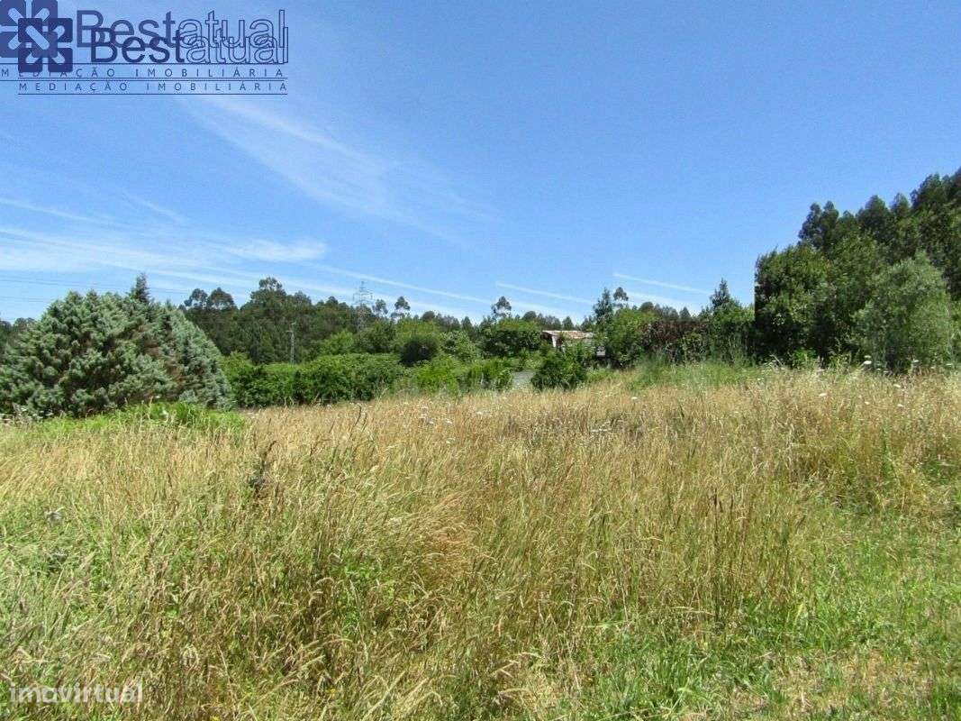 Terreno 4000 m2-c/1500 m2 de área p/construção Moradias-A 3 Min. do-20