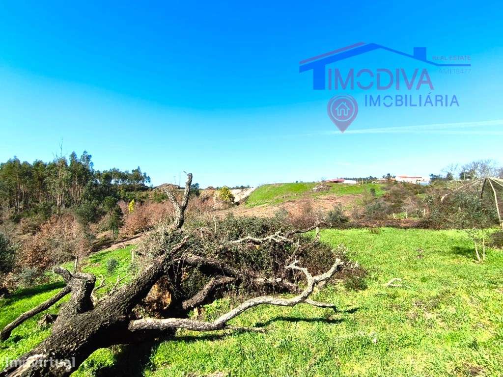 Quinta com mais de um héctar de terreno, em Graça, Pedrogão Grande-14