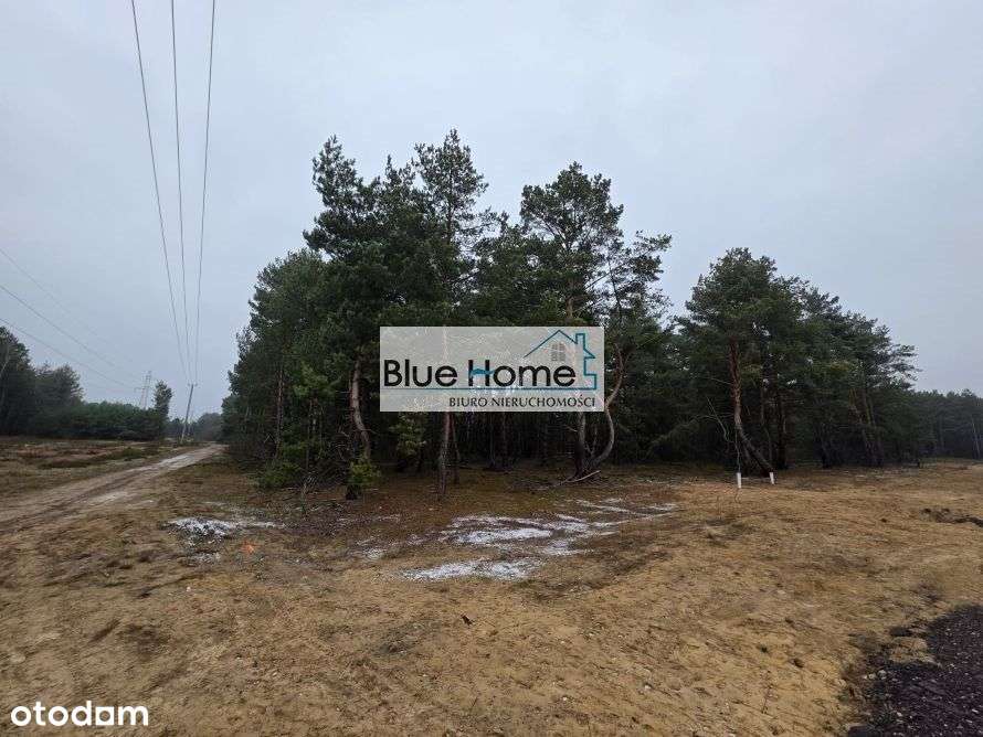 Działka budowlana Jar Toruń Mpzp !! - Pełny obrazek: 4/5