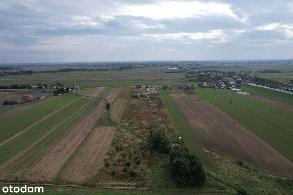 Gotowy biznes - budynek biurowy, handlowy, magazyn - Pełny obrazek: 5/14