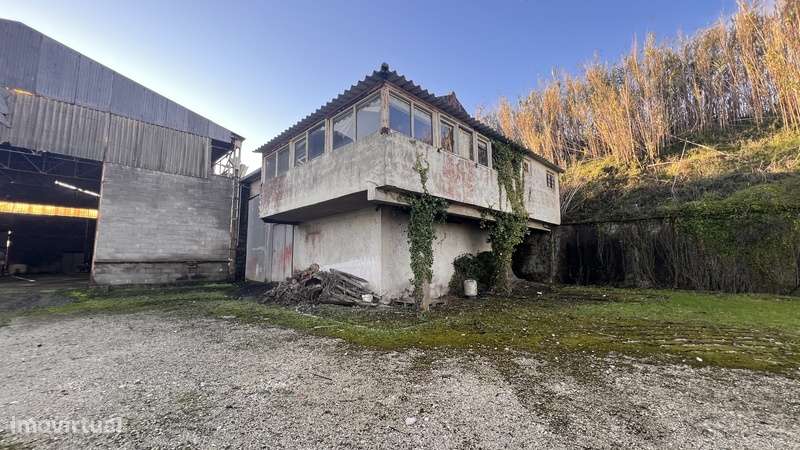Armazém Com Terreno Rústico 26.200m² - Grande imagem: 3/3