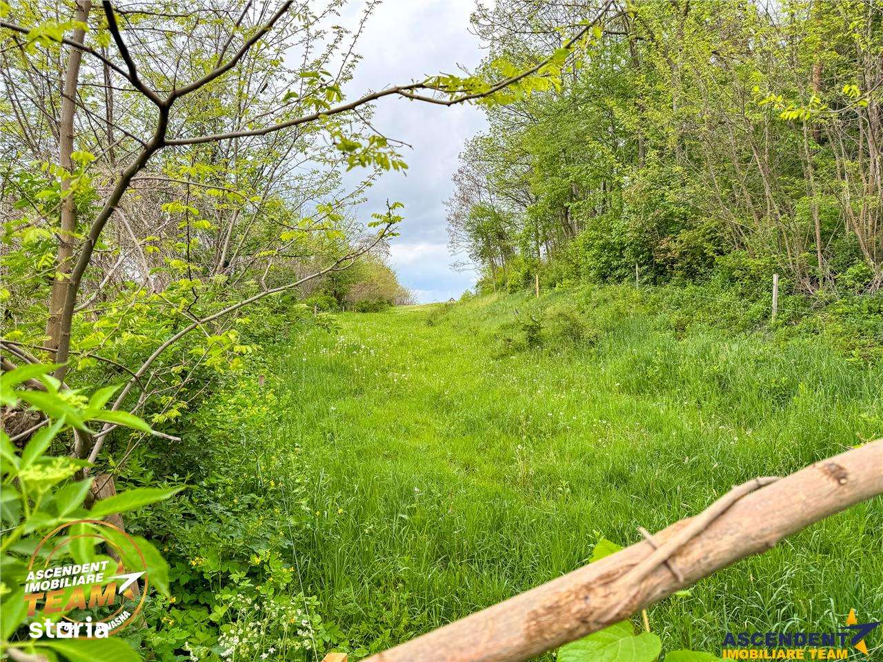 FILM! Teren intravilan,  6.500 mp, Papauti, Covasna - Imagine principală: 5/7