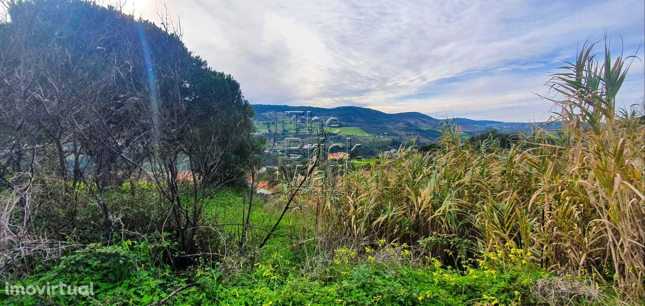 Terreno com 6.653 m2 na zona de À-dos-Loucos