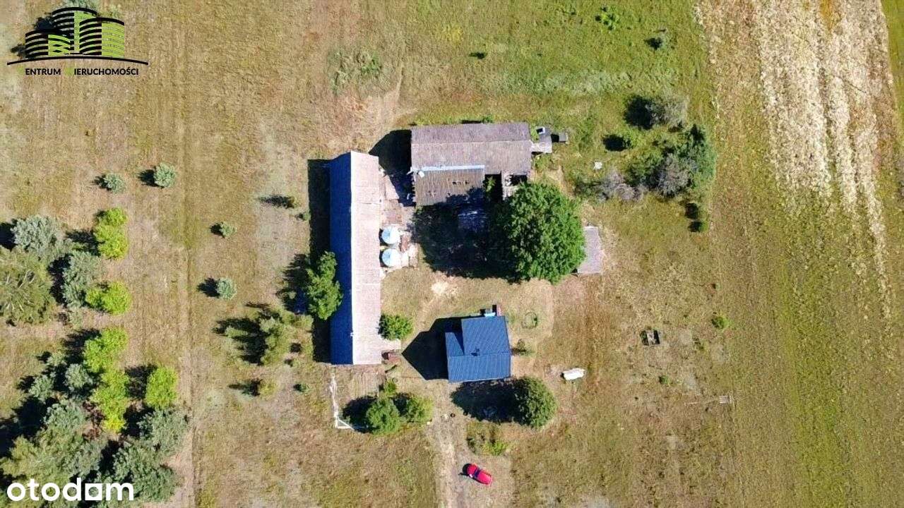 -Gospodarstwo w Michałowie- - Pełny obrazek: 4/8