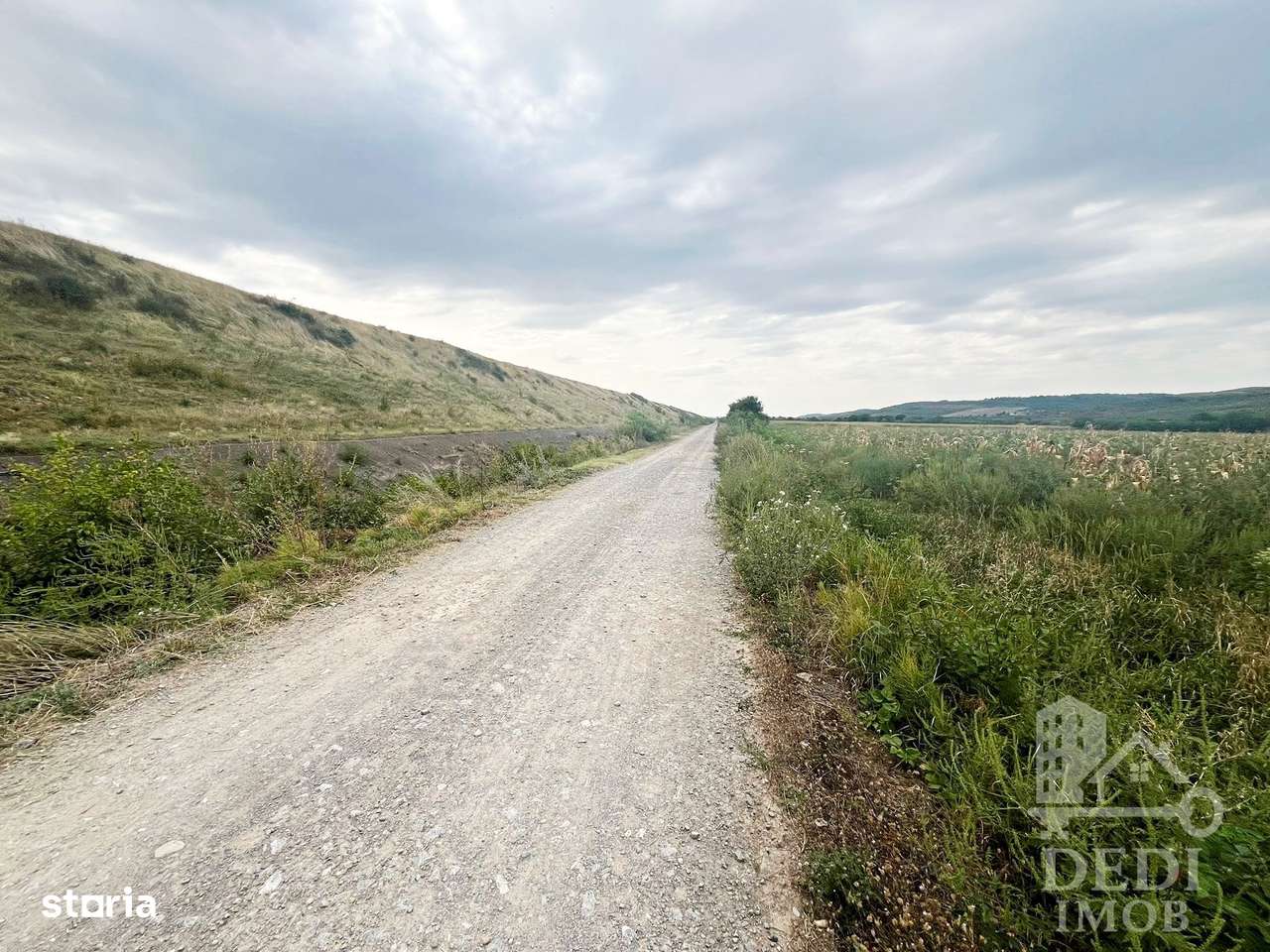 Teren extrvilan LUGASU DE JOS, Bihor - Imagine principală: 4/4