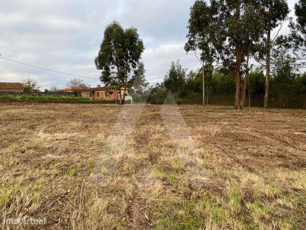 Terreno situado em Eirol - Grande imagem: 3/9