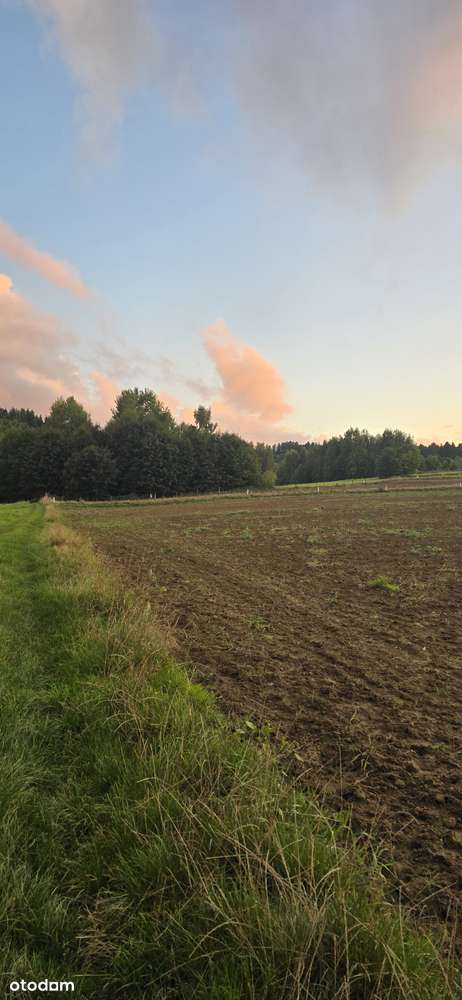 Działka w bezpośrednim sąsiedztwie Lanckorony - Pełny obrazek: 3/5