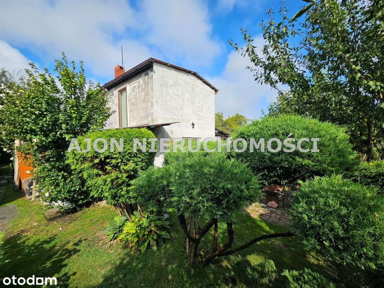 Działka Rod Reneta z domkiem murowanym, Piękna!!! - Pełny obrazek: 4/15