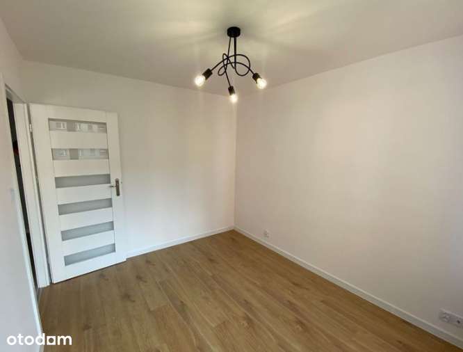 2 oddzielne pokoje w bloku - ul. Jadwigi Miarkowej - Pełny obrazek: 3/6