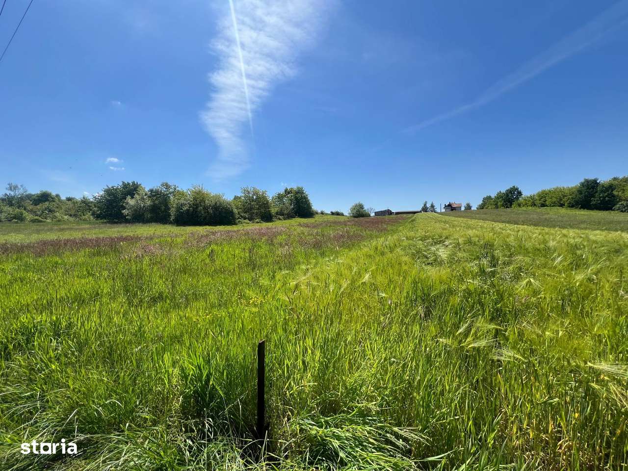 Lapusel - Teren intravilan, 41,46 ari (posibilitate de parcelare) - Imagine principală: 3/5