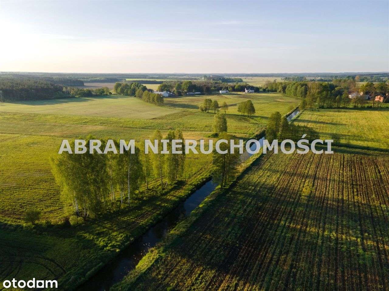 Działka, 1 181 m², Rynarzewo-11