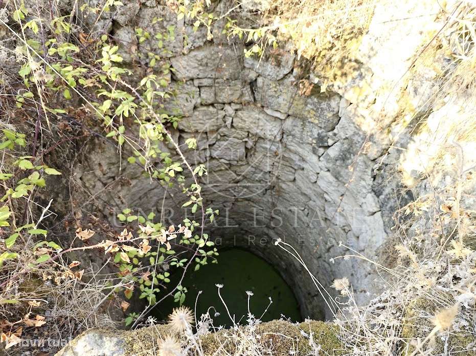 Terreno Misto  Venda em Torres Novas (São Pedro), Lapas e Ribeira Bran-12