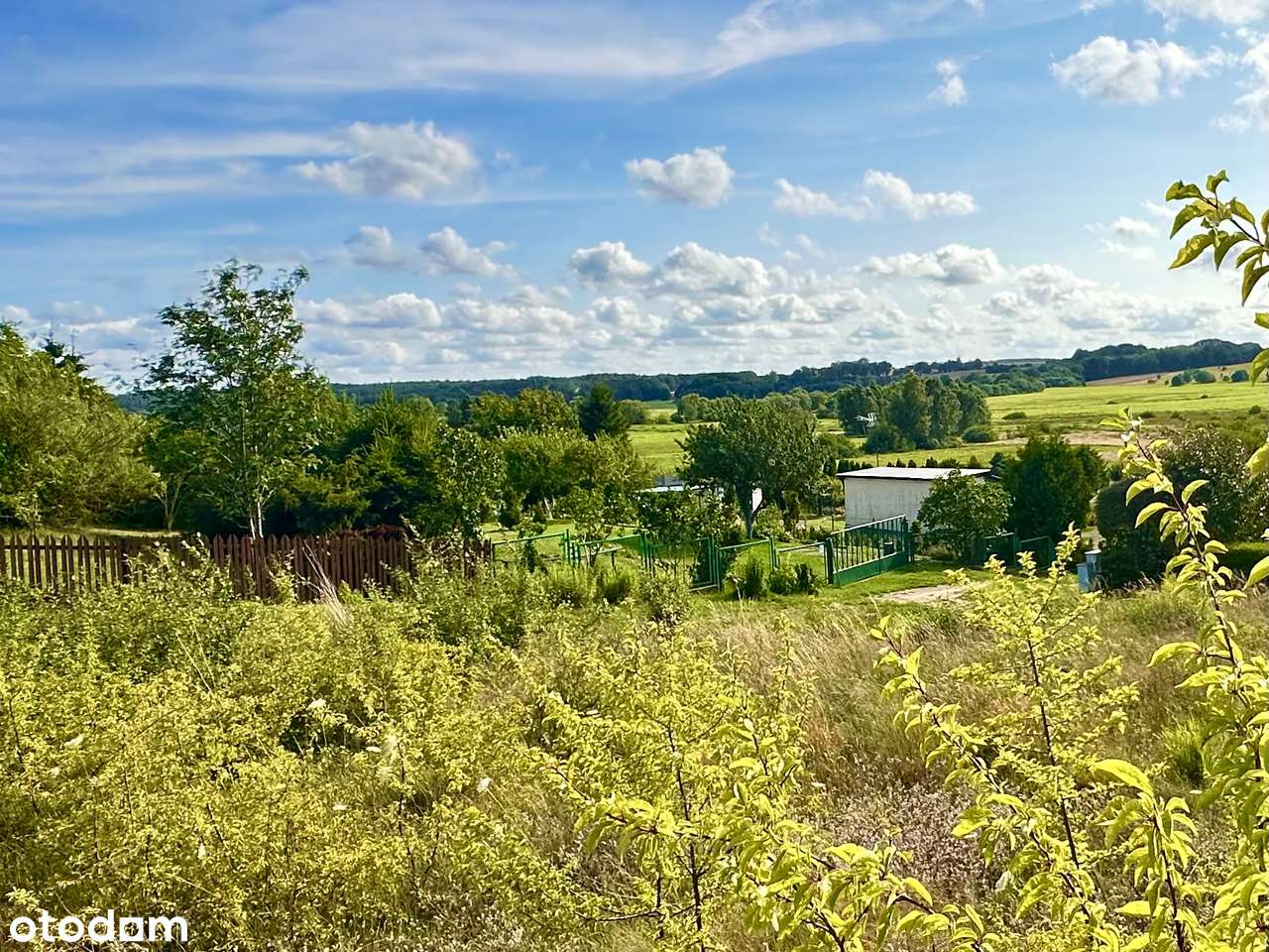 Działka na Zielonym Wzgórzu! 500m Jezioro Choczewskie! - Pełny obrazek: 5/7