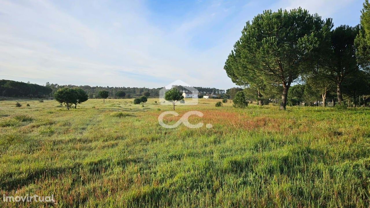 Quinta à venda na Fazenda das Figueiras, Branca, Coruche