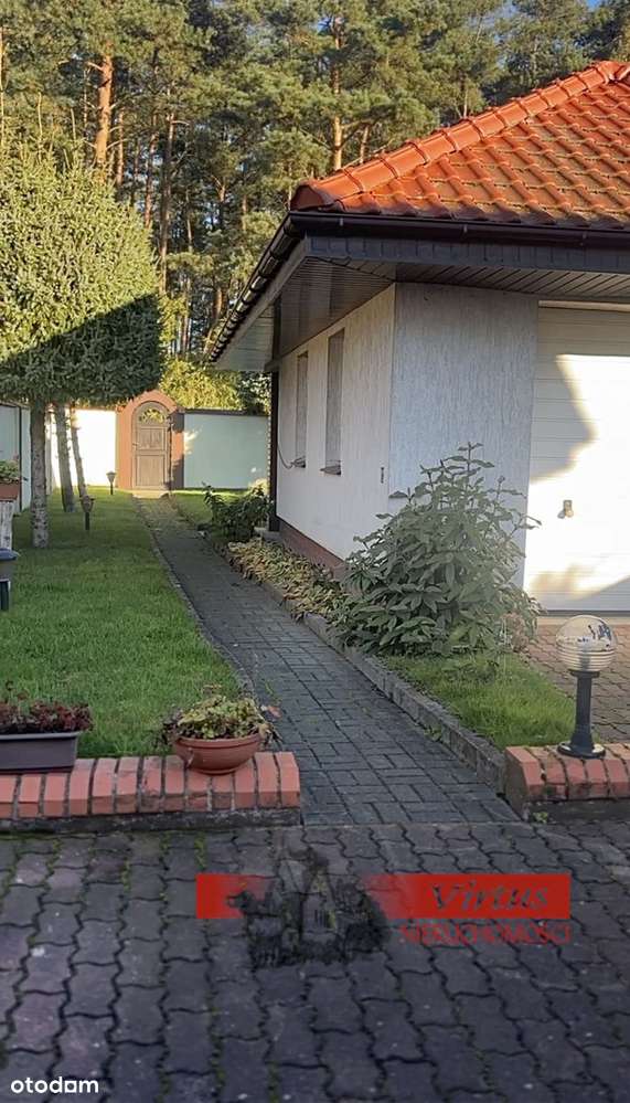 dome przy ścianie lasu-17