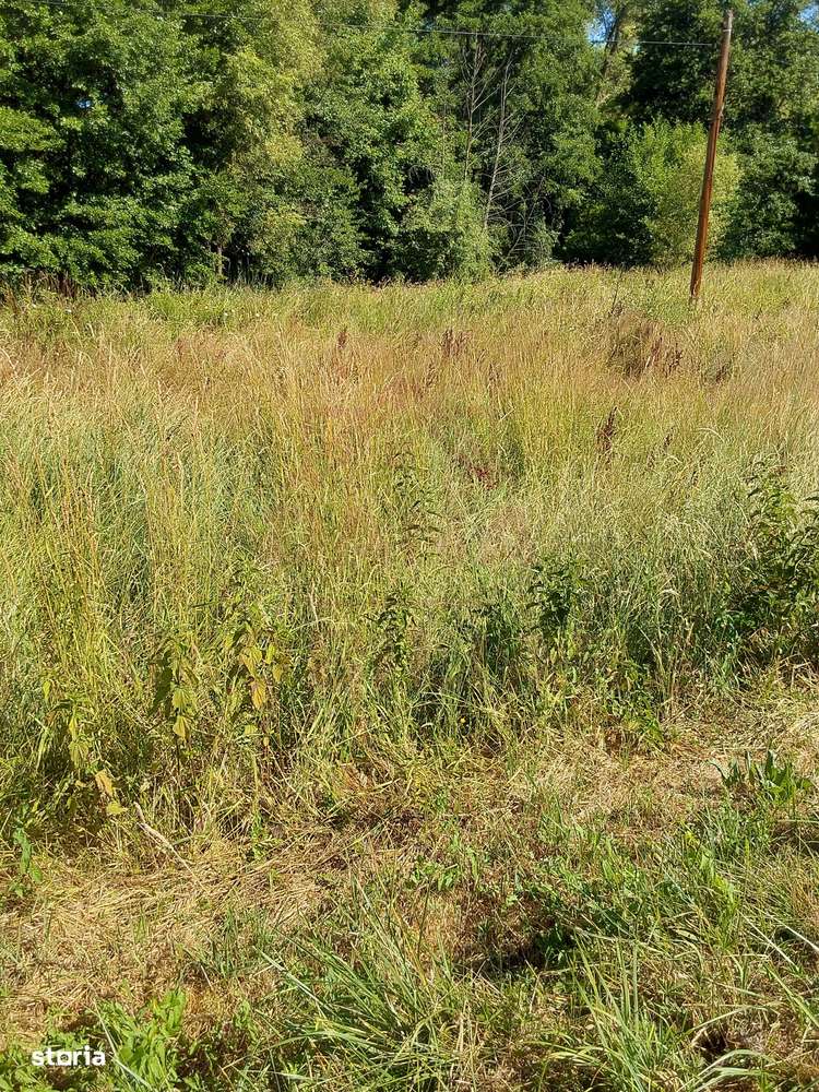 TEREN INTRAVILAN ÎN MARGA-LA DN68 JUD.CARAȘ-SEVERIN-6
