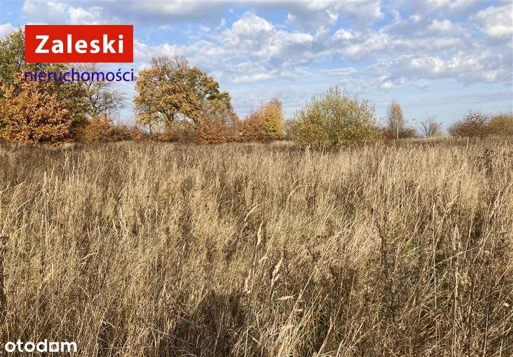 Działka budowlana - Kaczki - Pełny obrazek: 4/7