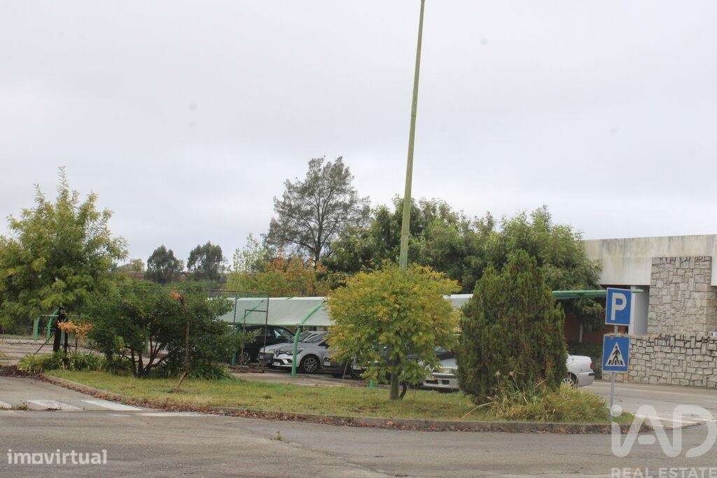 Prédio em Sarnadas de Ródão de 2210,00 m2 - Grande imagem: 4/29