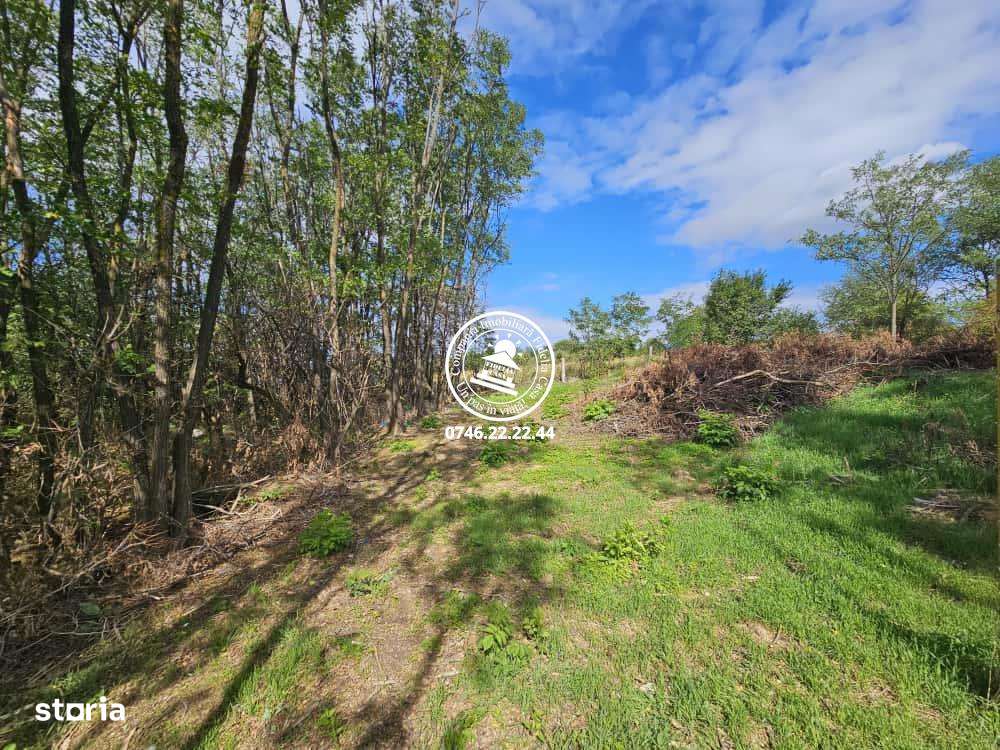 Teren intravilan 900 m , Aroneanu , 1km de la rond , langa padurice - Imagine principală: 2/6