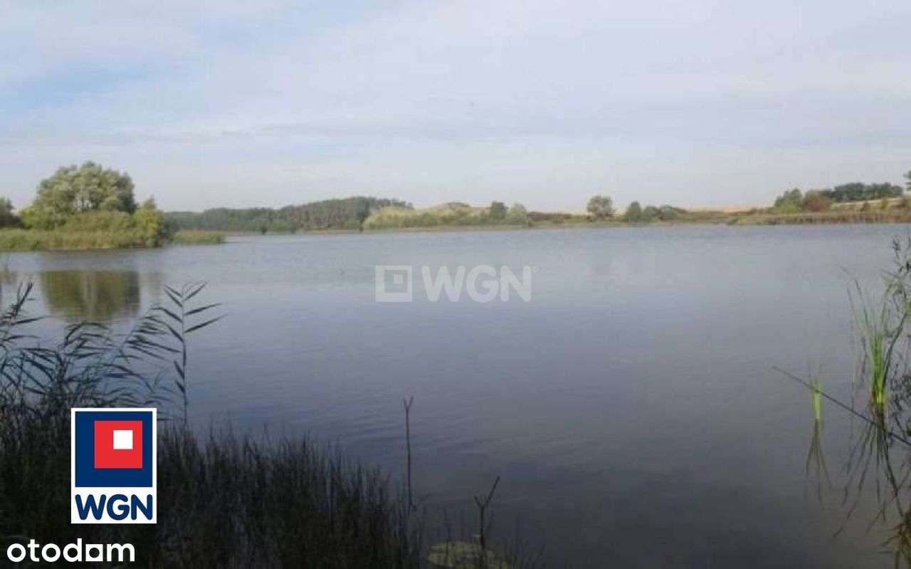 Działka Z Linią Brzegową Jeziora - Pełny obrazek: 2/14