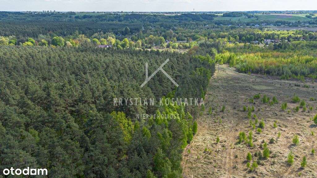 Działka w sąsiedztwie lasu i jeziora. Elgiszewo - Pełny obrazek: 4/4