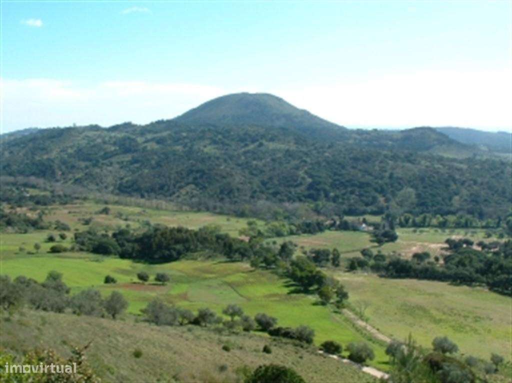 Parque Natural Arrábida Azeitão Terreno 5 Ha no cimo da serra . - Grande imagem: 4/5