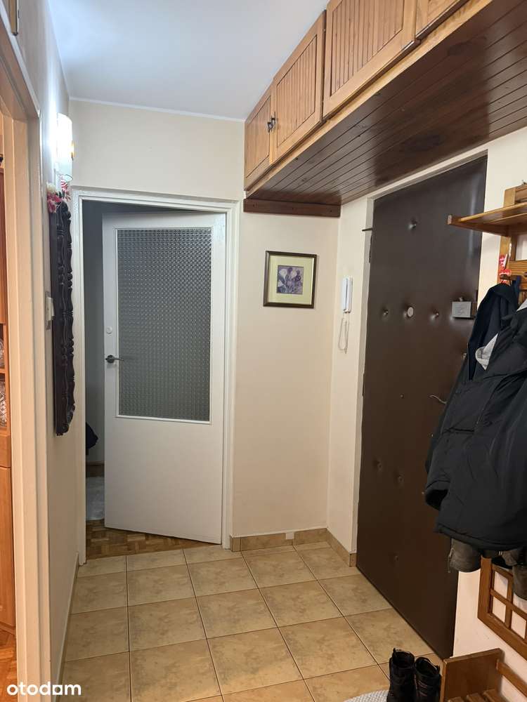 2p-Włocławek Zazamcze - Pełny obrazek: 4/15