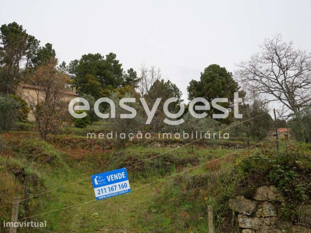 Quintinha com aproximadamente 4000 m2 em Gonçalo, Guarda - Grande imagem: 1/28