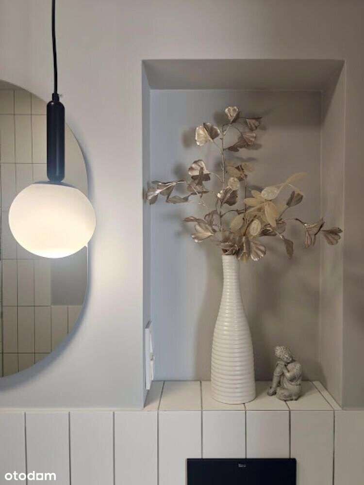 Dwupak Inwestycyjny Odi/2494-8