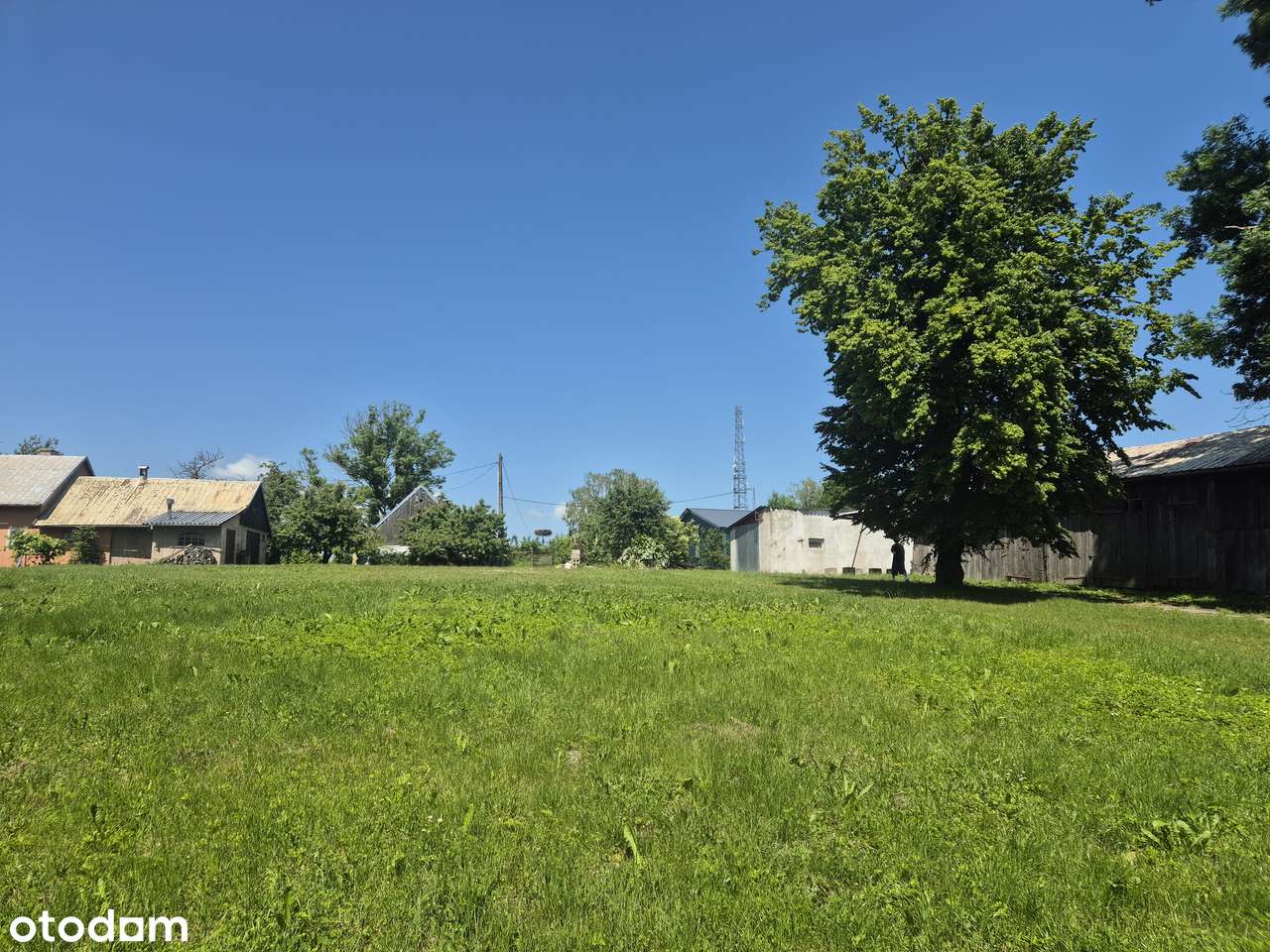 siedlisko z domem, garażem i stodołą, Rychliki, warmińsko-mazurskie - Pełny obrazek: 5/20