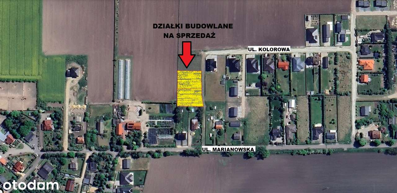 budowlana | Tarnowo Podgórne | z MPZP | z mediami | spokojna okolica - Pełny obrazek: 5/11