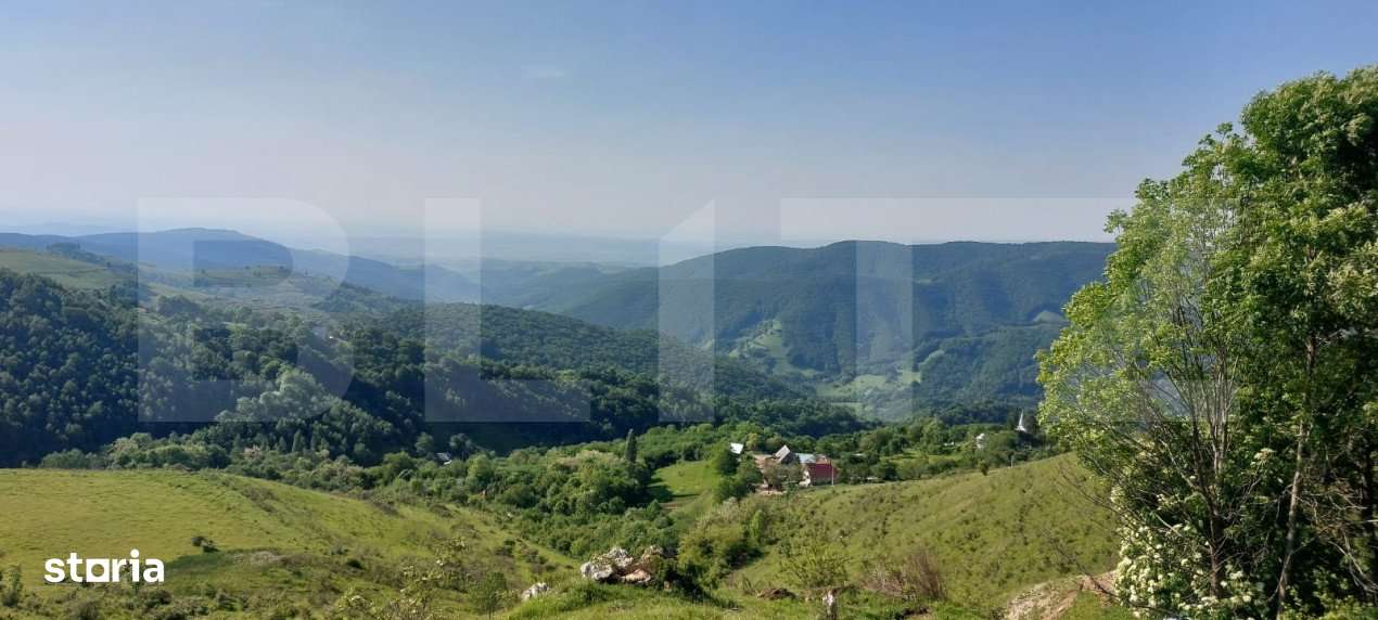 Teren extravilan pentru cabana, 3800 mp, zona-Ramet Transapuseana - Imagine principală: 4/4