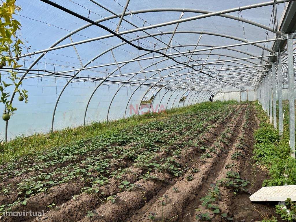 Terreno Rústico  Venda em Aguçadoura e Navais,Póvoa de Varzim - Grande imagem: 5/7