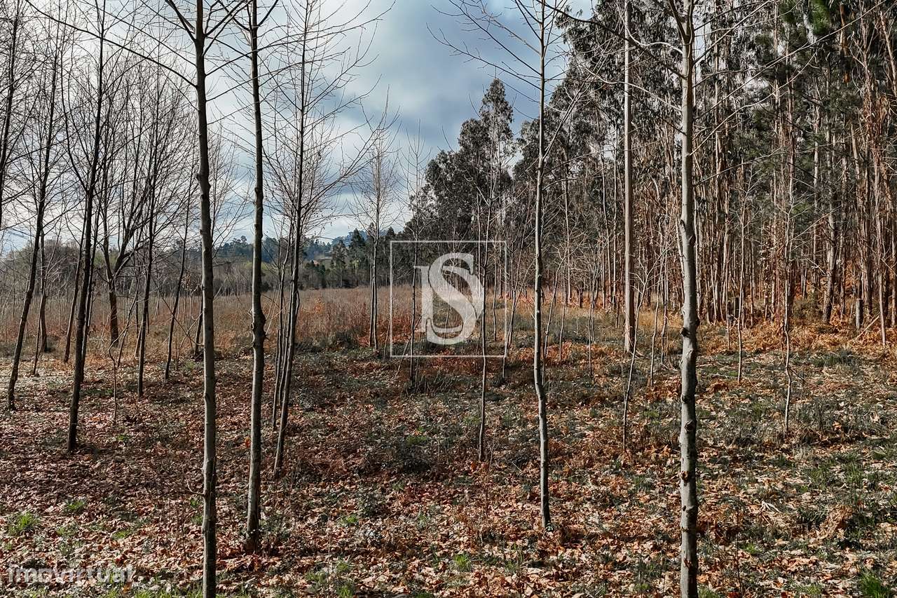 Terreno Rústico  Venda em Associação de freguesias do Vale do Neiva,Po-28