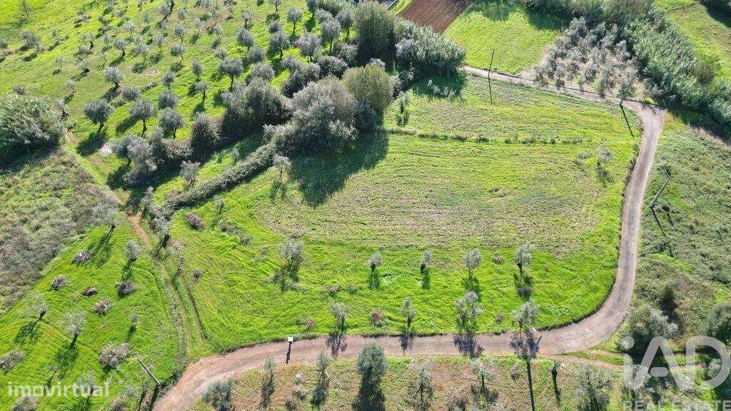 Terreno Agrícola em Podentes - Grande imagem: 2/25