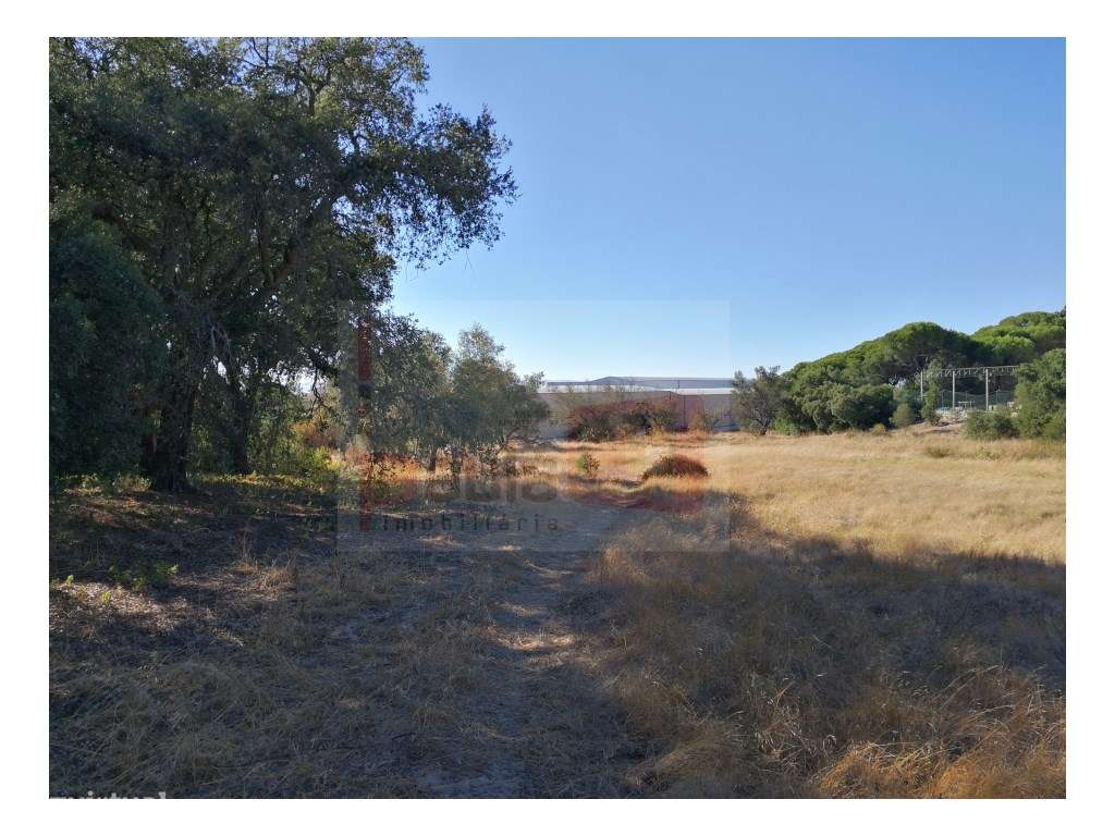 Terreno Rústico / Industrial - Grande imagem: 5/7