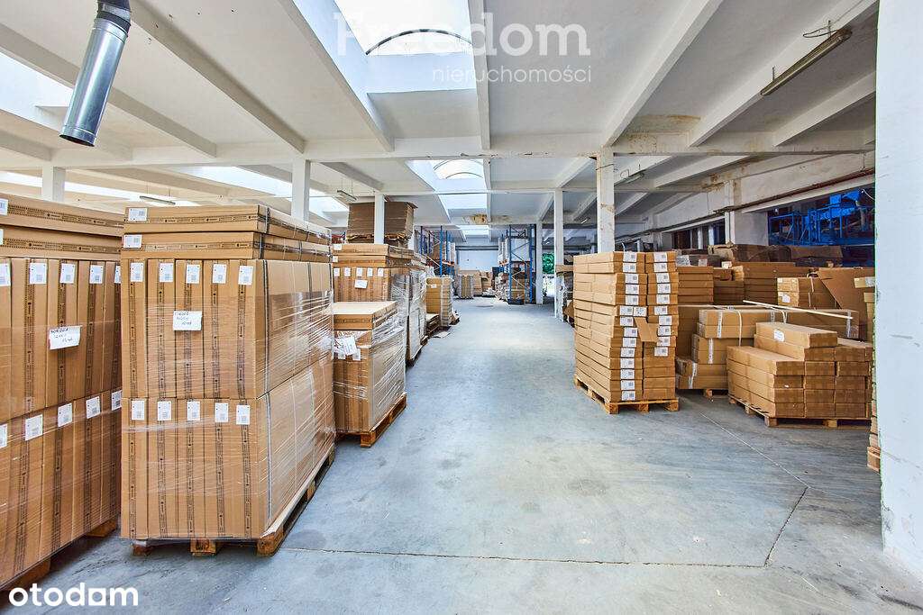 Hala produkcyjna z zapleczem biurowym, Ruda Opalin - Pełny obrazek: 4/17