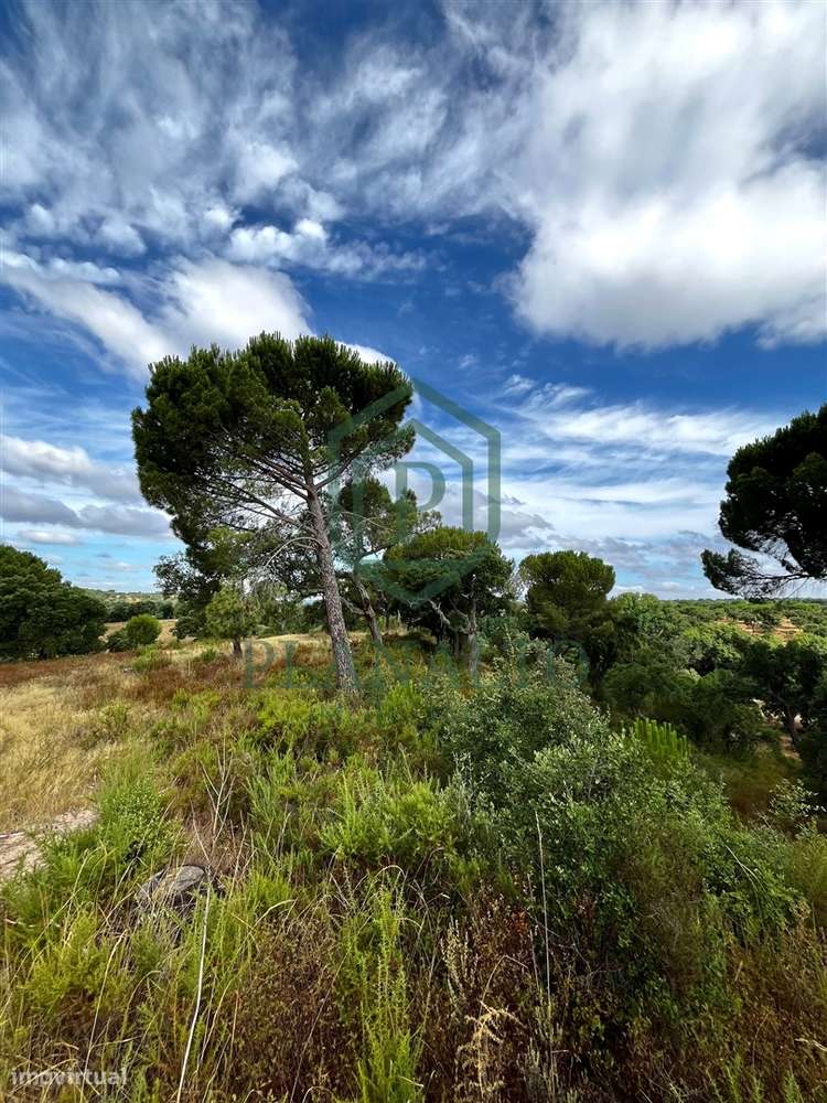 Quinta >=T10 Venda em Cortiçadas de Lavre e Lavre,Montemor-o-Novo-18